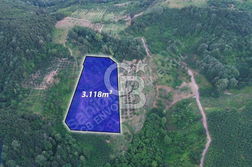 CB ENVOY'DAN KARTEPE EŞME'DE 3117 M2 SATILIK TARLA