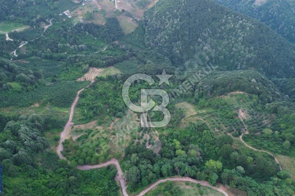 CB ENVOY'DAN KARTEPE EŞME'DE 3117 M2 SATILIK TARLA
