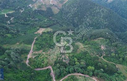 CB ENVOY'DAN KARTEPE EŞME'DE 3117 M2 SATILIK TARLA