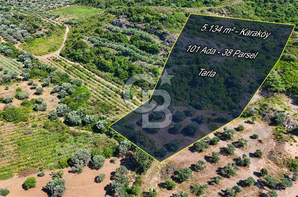 Karaköy'de Yatırımlık 5.133 m2 Tarla