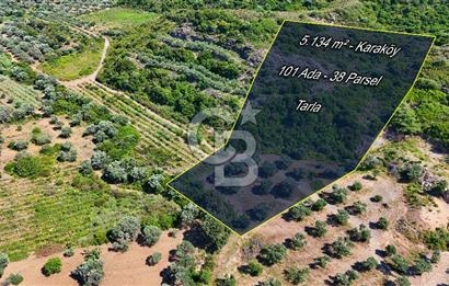 Karaköy'de Yatırımlık 5.133 m2 Tarla