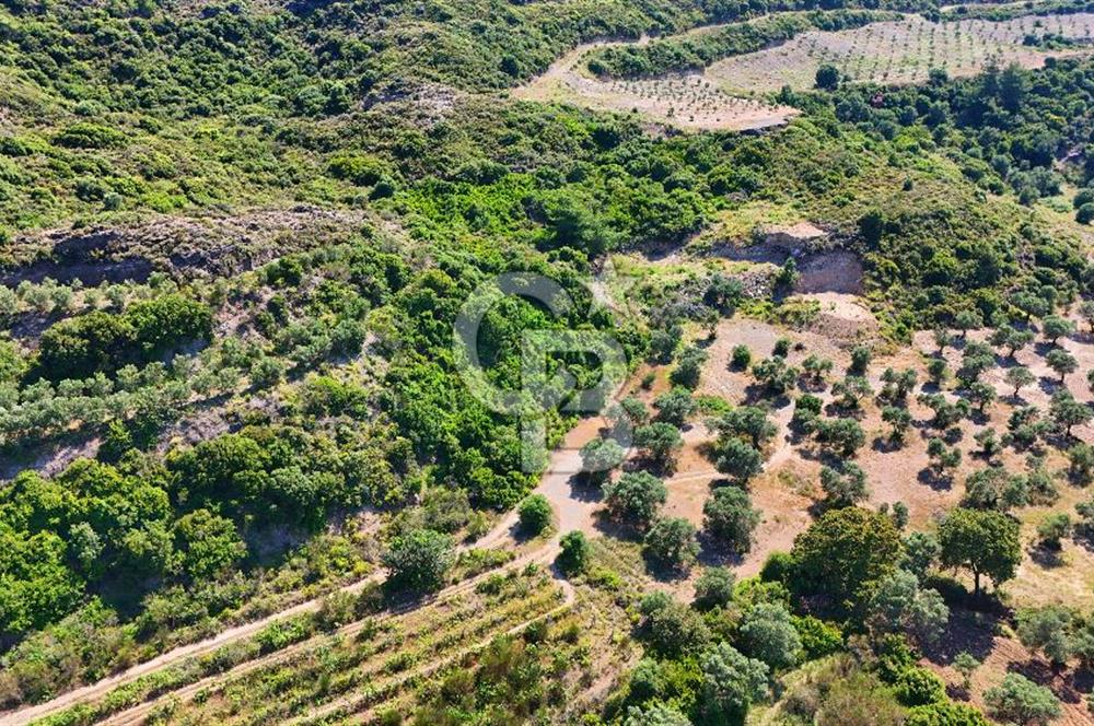 Karaköy'de Yatırımlık 5.133 m2 Tarla