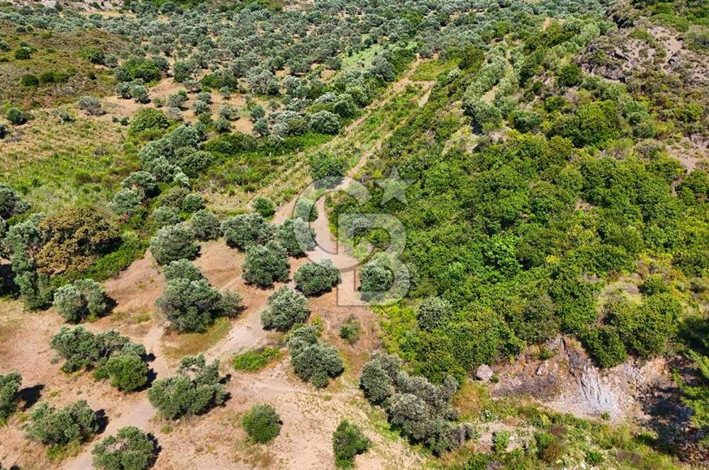 Karaköy'de Yatırımlık 5.133 m2 Tarla