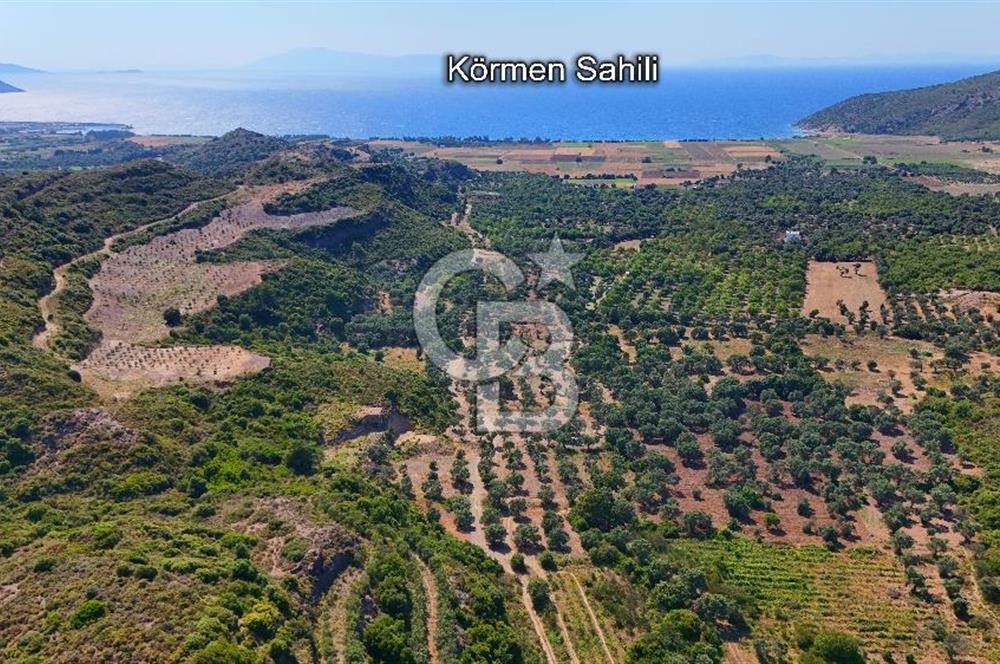 Karaköy'de Yatırımlık 5.133 m2 Tarla