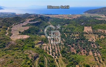 Karaköy'de Yatırımlık 5.133 m2 Tarla