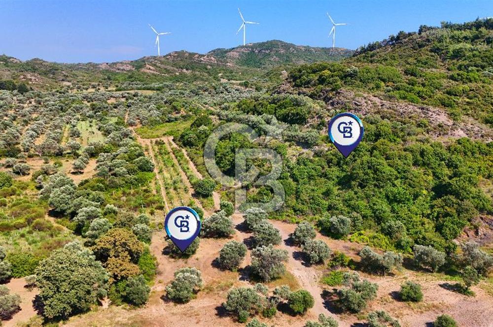 Karaköy'de Yatırımlık 5.133 m2 Tarla