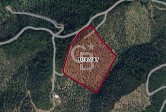 Seferihisar Gölcük mah Satılık Zeytinlik - 5 - 364940