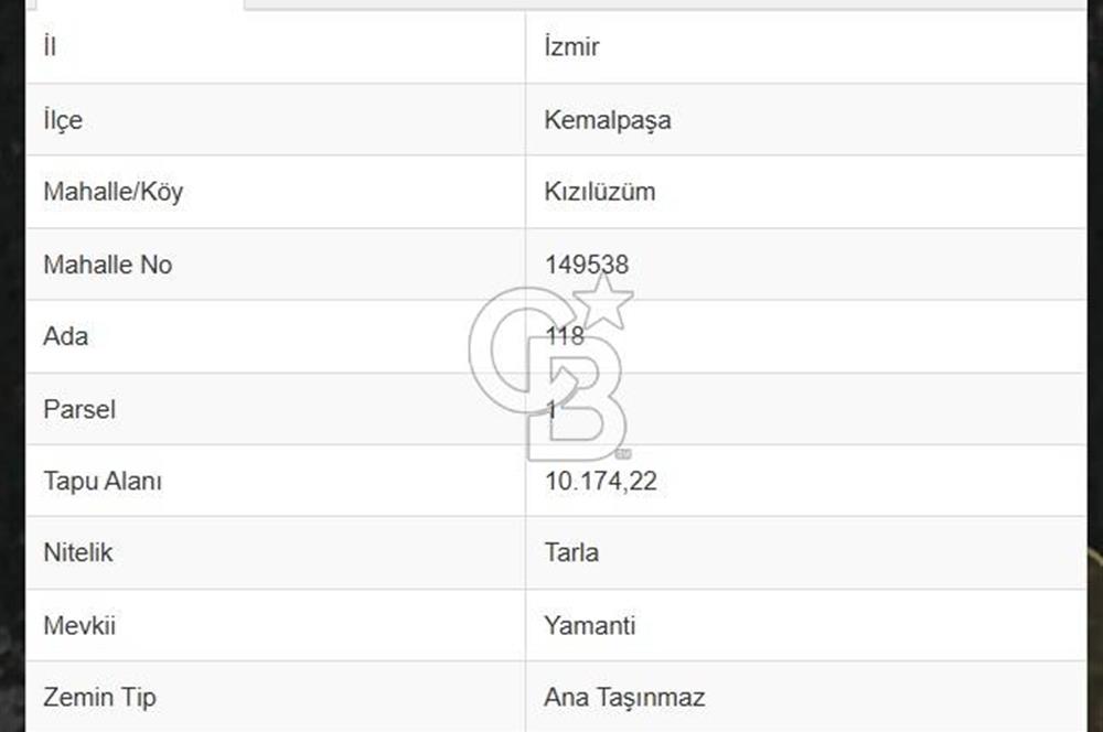 CB DENİZDEN KIZILÜZÜM YAMANTİ MEVKİİNDE SATILIK 7.267 m² TARLA HİSSESİ
