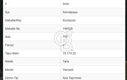 CB DENİZDEN KIZILÜZÜM YAMANTİ MEVKİİNDE SATILIK 7.267 m² TARLA HİSSESİ