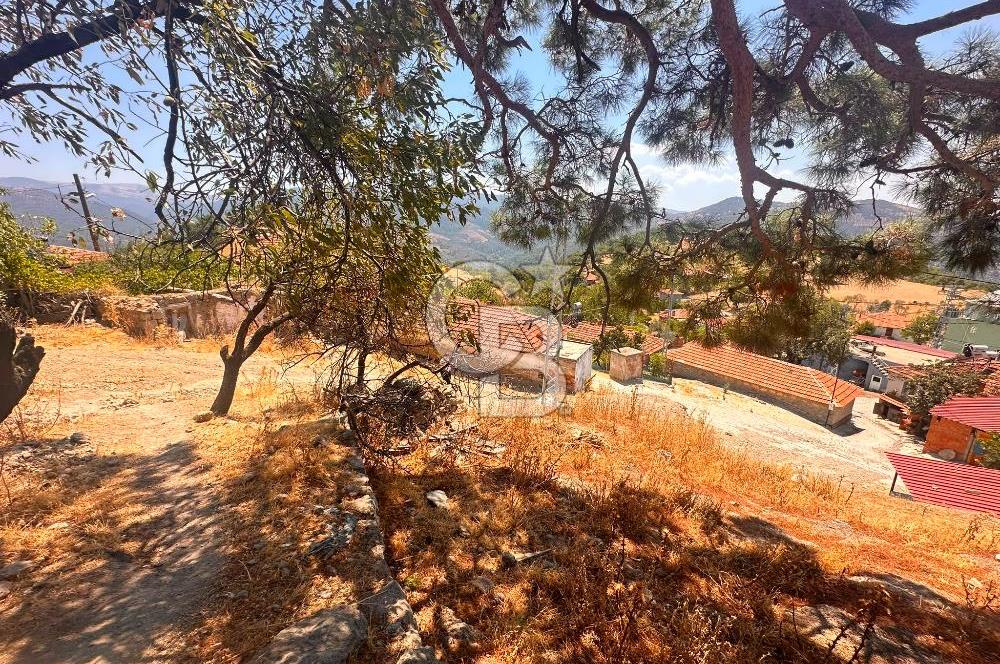 BURHANİYE ÇAMTEPE DE FIRSAT SATILIK ARSA