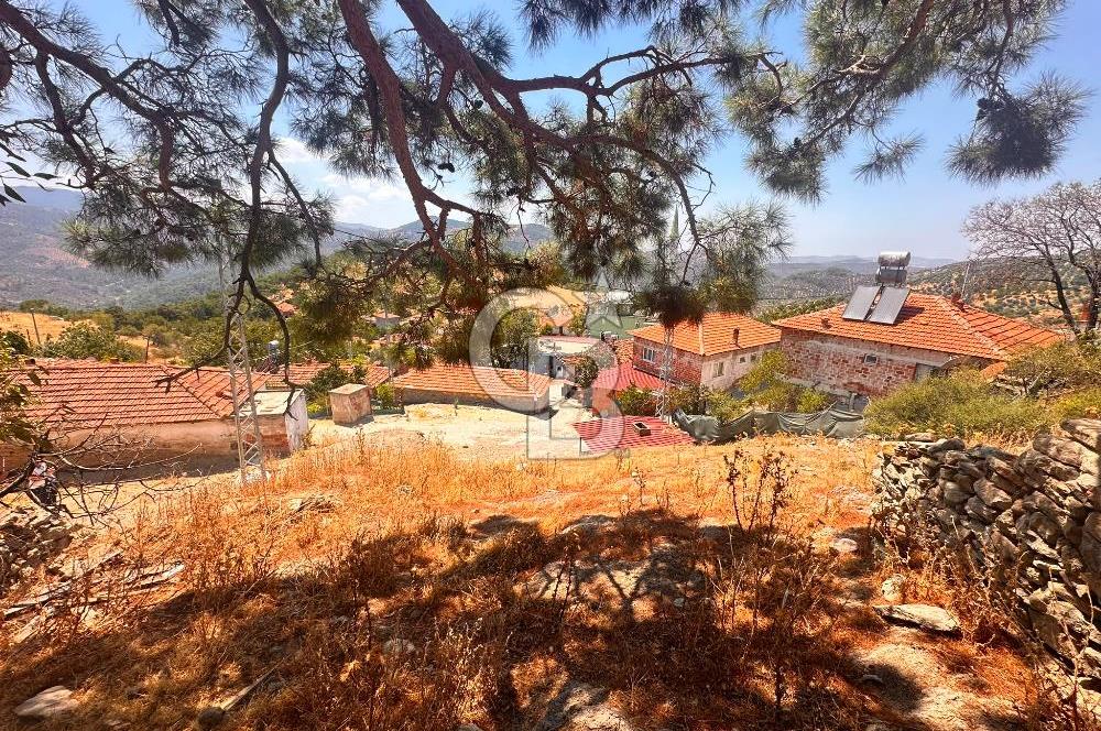 BURHANİYE ÇAMTEPE DE FIRSAT SATILIK ARSA