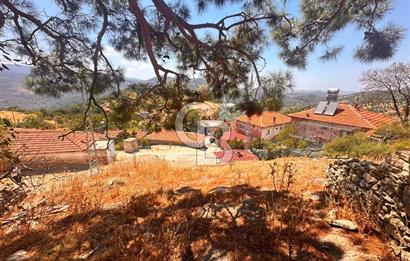 BURHANİYE ÇAMTEPE DE FIRSAT SATILIK ARSA
