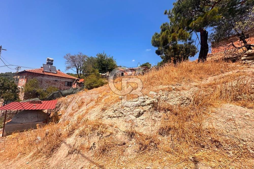 BURHANİYE ÇAMTEPE DE FIRSAT SATILIK ARSA