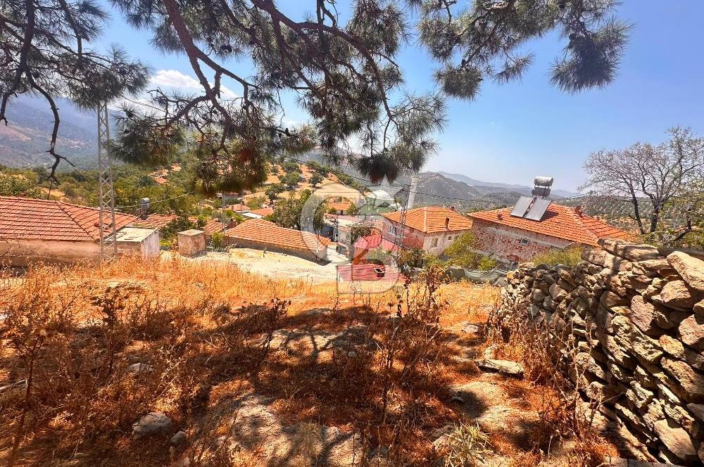 BURHANİYE ÇAMTEPE DE FIRSAT SATILIK ARSA