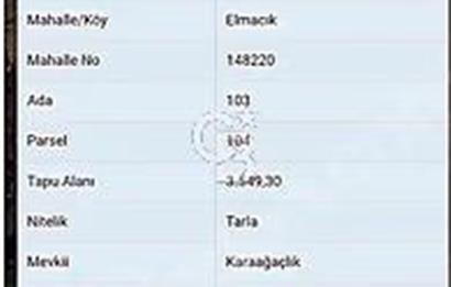 KANDIRA ELMACIKDA SATILIK 2 TARLA