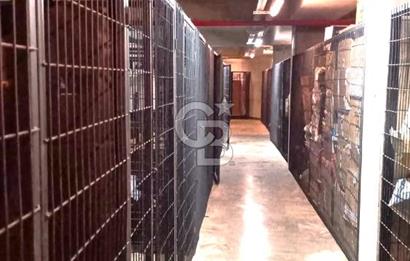 DAİRE KARTAL BENZERSİZ E5 MANZARALI 61 m2 KİRALIK 1+1 DAİRE FIRSATI