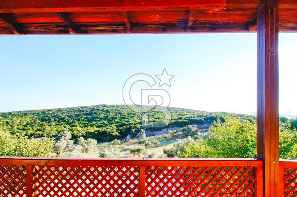 Akkum Caddesi Üzerinde Akkum'a 2 Dk Mesafede Kiralık 2+1 (70 m²)