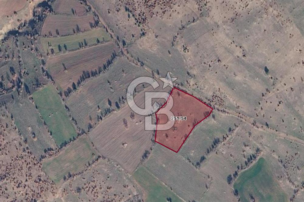 KÜTAHYA HİSARCIK'TA KADASTRAL YOLA CEPHE 4406m2 YATIRIMLIK TARLA