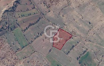 KÜTAHYA HİSARCIK'TA KADASTRAL YOLA CEPHE 4406m2 YATIRIMLIK TARLA
