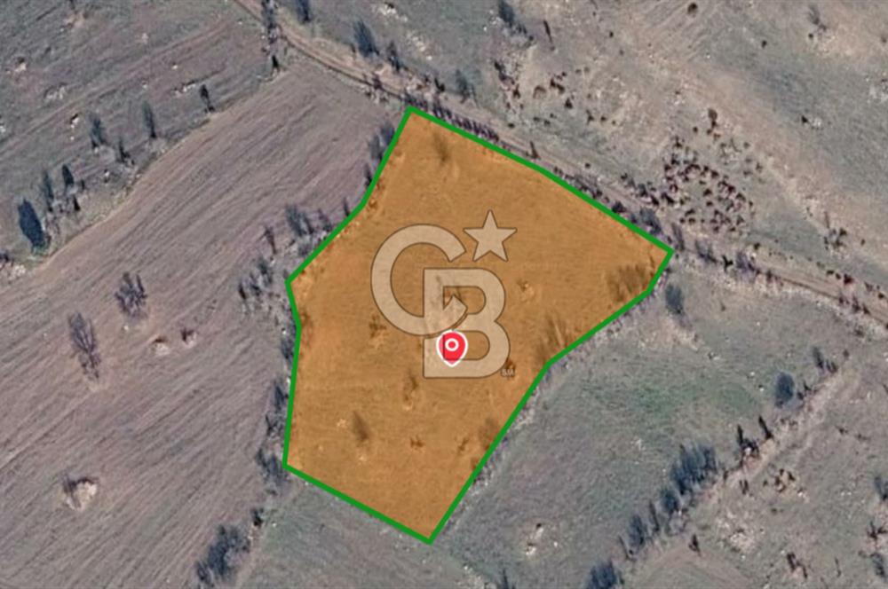 KÜTAHYA HİSARCIK'TA KADASTRAL YOLA CEPHE 4406m2 YATIRIMLIK TARLA