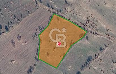 KÜTAHYA HİSARCIK'TA KADASTRAL YOLA CEPHE 4406m2 YATIRIMLIK TARLA