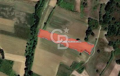 KOCAELİ KANDIRA SARIAHMETLERDE 5745 m² SATILIK TARLA
