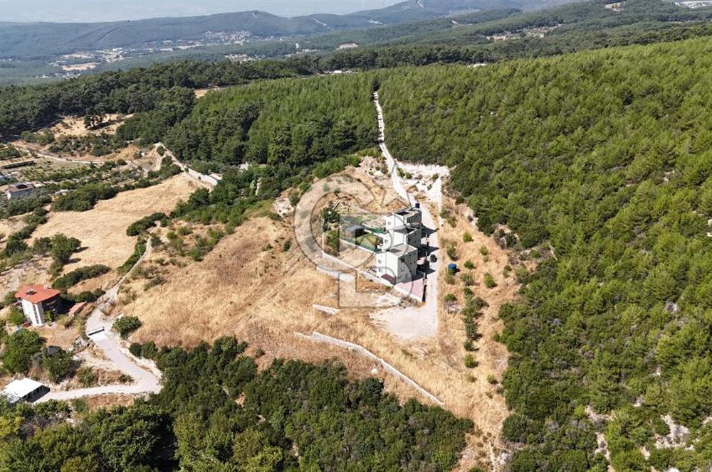 Bornova Yaka Mahallesi 1013 M2 Hisse Tapu Tarla