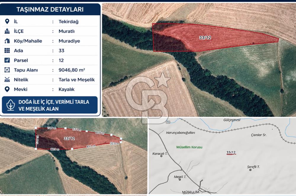 TEKİRDAĞ MURATLI MURADİYE MAHALLESİ YATIRIM DEĞERİ YÜKSEK ARAZİ