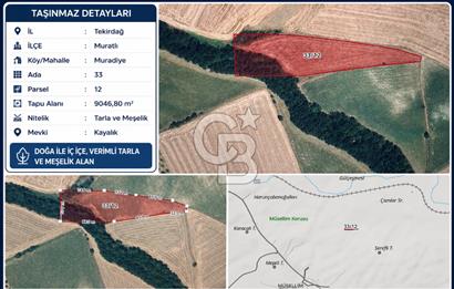 TEKİRDAĞ MURATLI MURADİYE MAHALLESİ YATIRIM DEĞERİ YÜKSEK ARAZİ