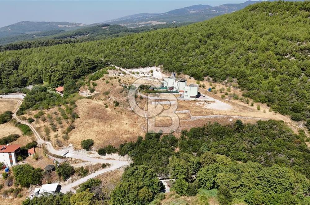 Bornova Yaka Mahallesi 1013 M2 Hisse Tapu Tarla