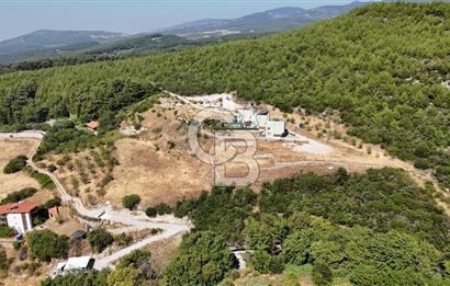 Bornova Yaka Mahallesi 1013 M2 Hisse Tapu Tarla