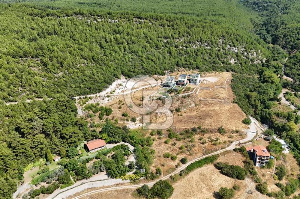 Bornova Yaka Mahallesi 1013 M2 Hisse Tapu Tarla