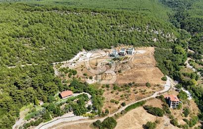 Bornova Yaka Mahallesi 1013 M2 Hisse Tapu Tarla
