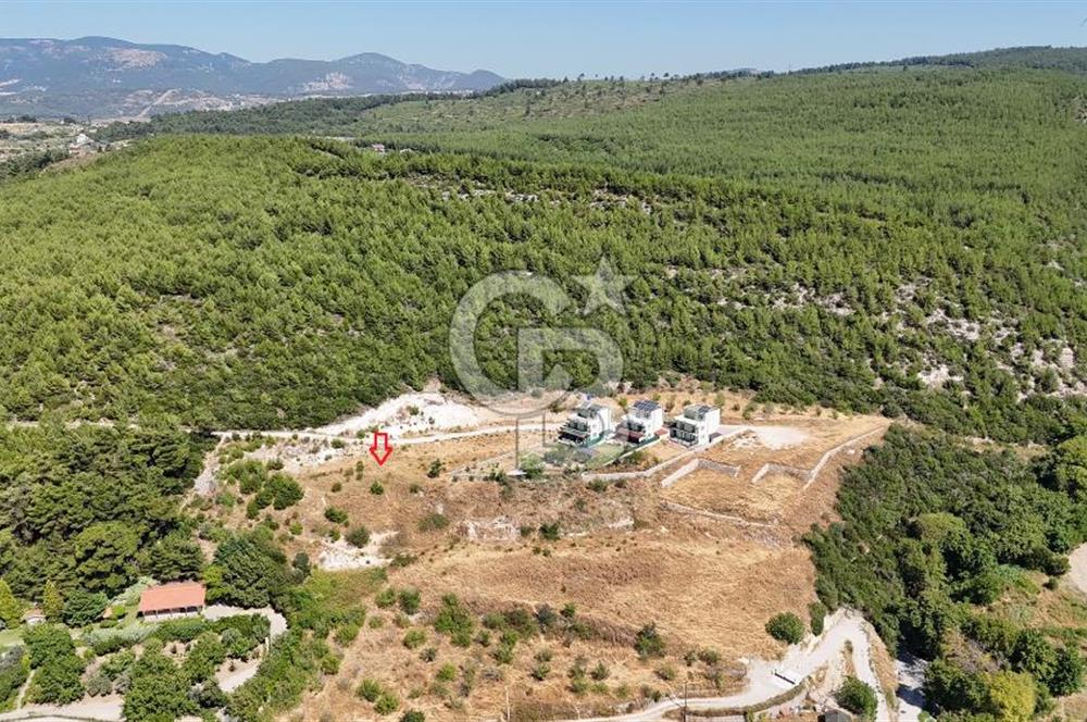 Bornova Yaka Mahallesi 1013 M2 Hisse Tapu Tarla