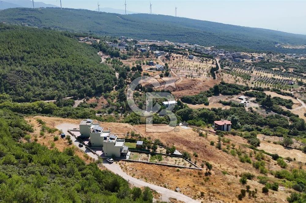 Bornova Yaka Mahallesi 1013 M2 Hisse Tapu Tarla