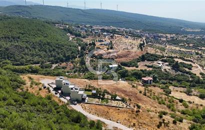 Bornova Yaka Mahallesi 1013 M2 Hisse Tapu Tarla