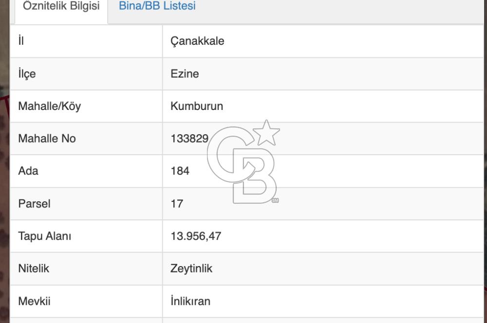 EZİNE KUMBURUN KÖYÜNDE ACİL SATILIK FIRSAT 13.956 M2 ZEYTİNLİK!!