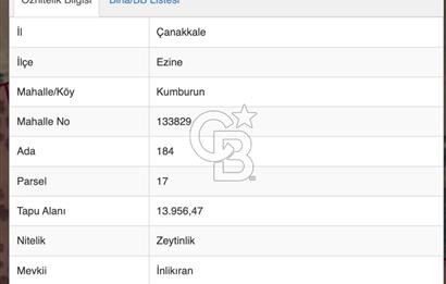EZİNE KUMBURUN KÖYÜNDE ACİL SATILIK FIRSAT 13.956 M2 ZEYTİNLİK!!