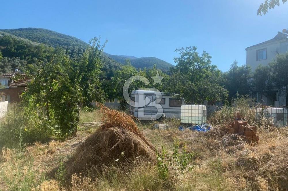 ORHANGAZI GÖLYAKA SATILIK 444m2 SATILIK ARSA!.