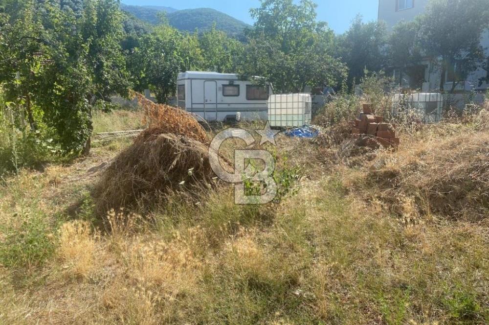 ORHANGAZI GÖLYAKA SATILIK 444m2 SATILIK ARSA!.