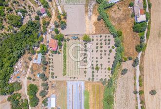 URLA RÜSTEM MAHALLESİNDE 6.371 METREKARE SATILIK ZEYTİNLİ TARLA - 1 - 365488