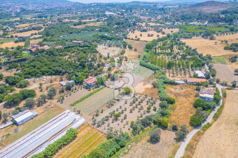 URLA RÜSTEM MAHALLESİNDE 6.371 METREKARE SATILIK ZEYTİNLİ TARLA
