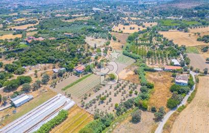 URLA RÜSTEM MAHALLESİNDE 6.371 METREKARE SATILIK ZEYTİNLİ TARLA
