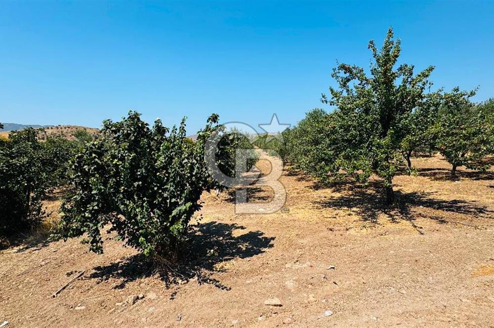 Foça Yenibağarası Mah. Kiralık Müstakil Ev