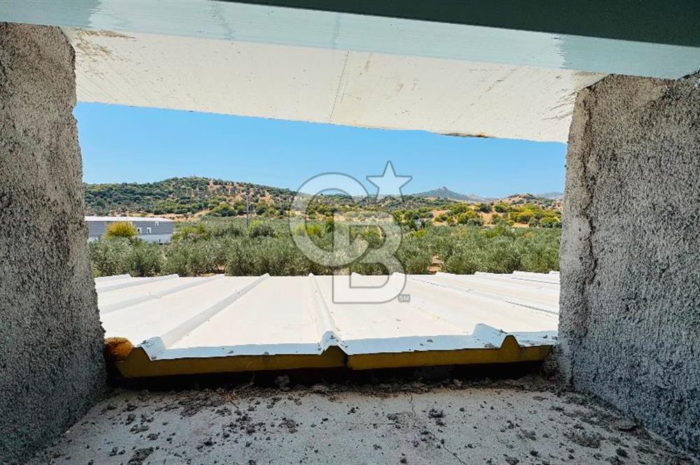 Foça Yenibağarası Mah. Kiralık Müstakil Ev
