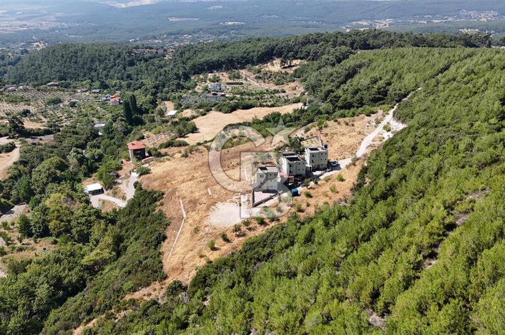 Bornova Yaka Mahallesi 1013 M2 Hisse Tapu Tarla