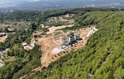 Bornova Yaka Mahallesi 1013 M2 Hisse Tapu Tarla