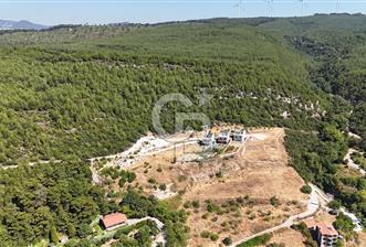 Bornova Yaka Mahallesi 1013 M2 Hisse Tapu Tarla - 5 - 365489