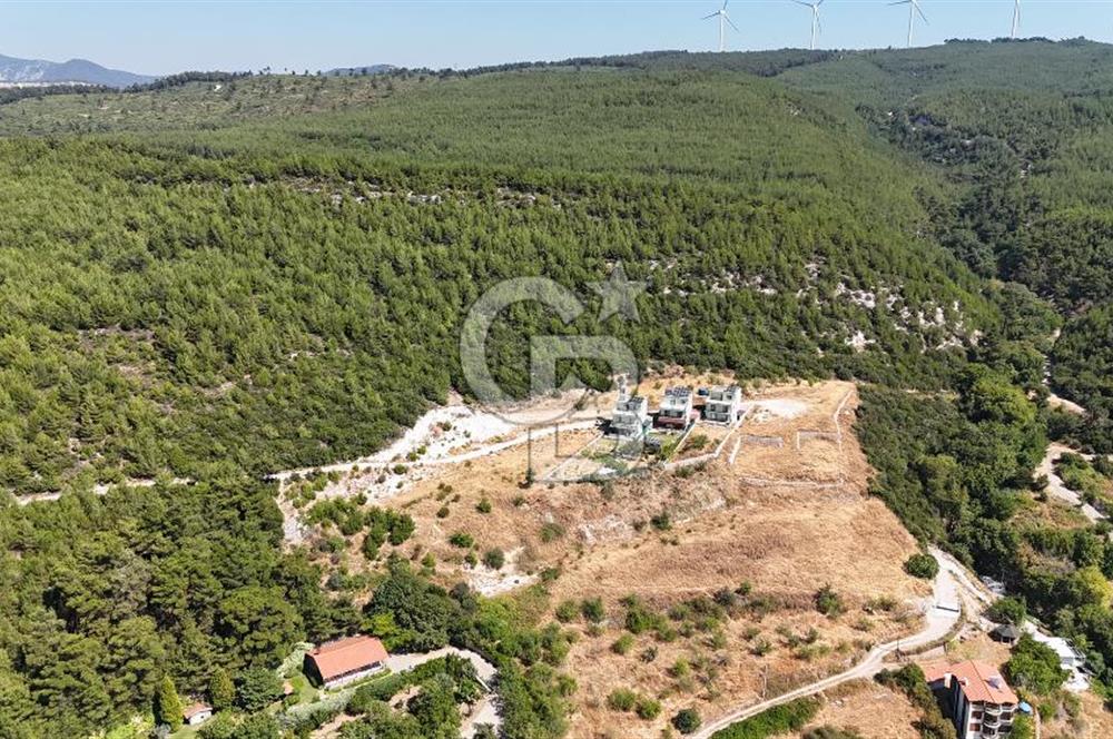Bornova Yaka Mahallesi 1013 M2 Hisse Tapu Tarla