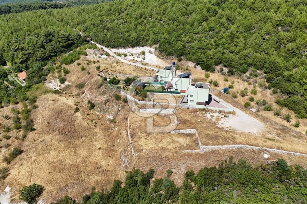 Bornova Yaka Mahallesi 1013 M2 Hisse Tapu Tarla